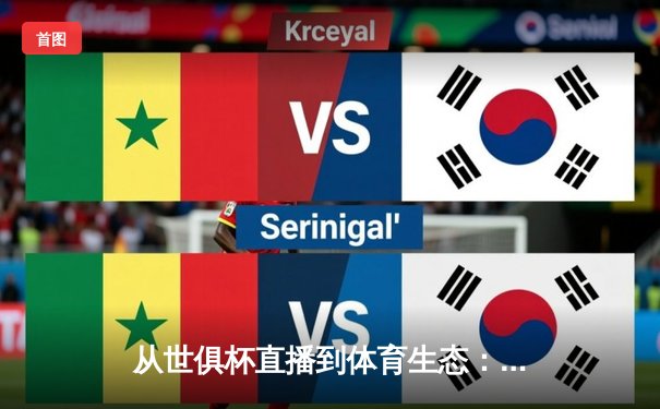 从世俱杯直播到体育生态：现代体育资讯网站的演进与价值